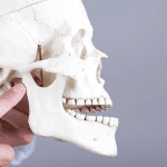 articulación temporomandibular o ATM